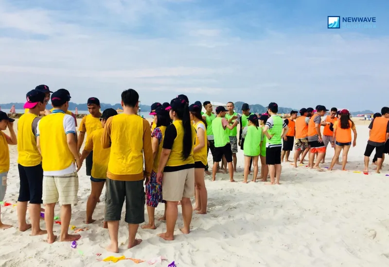 Strategy discussion session, determined to be the winner