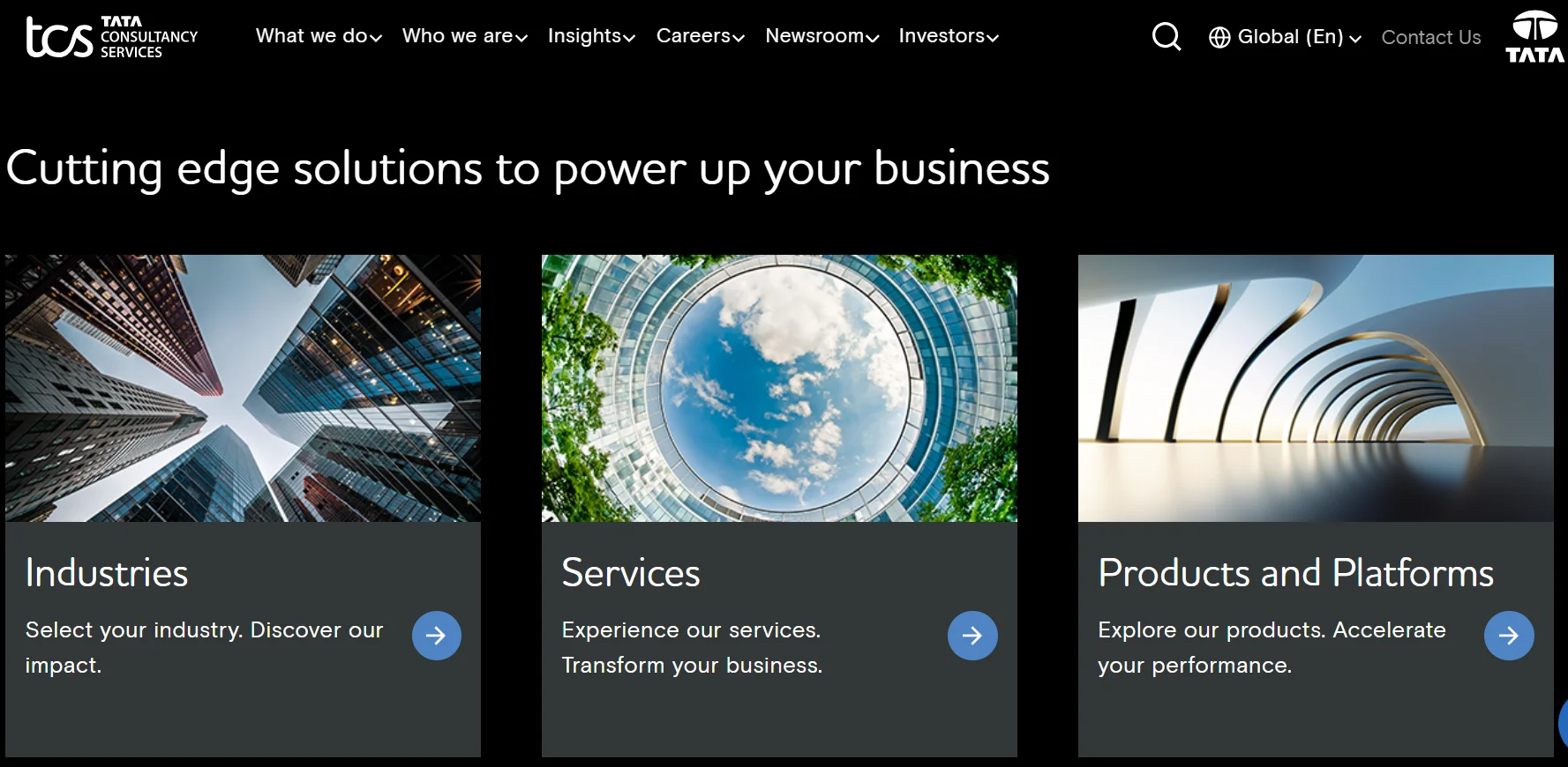 Tata Consultancy Services for Software Development Outsourcing