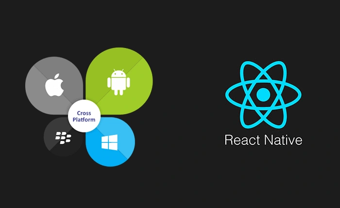 What Is Mobile App Development? A Complete Guide for Enterprises 11 React Native Framework