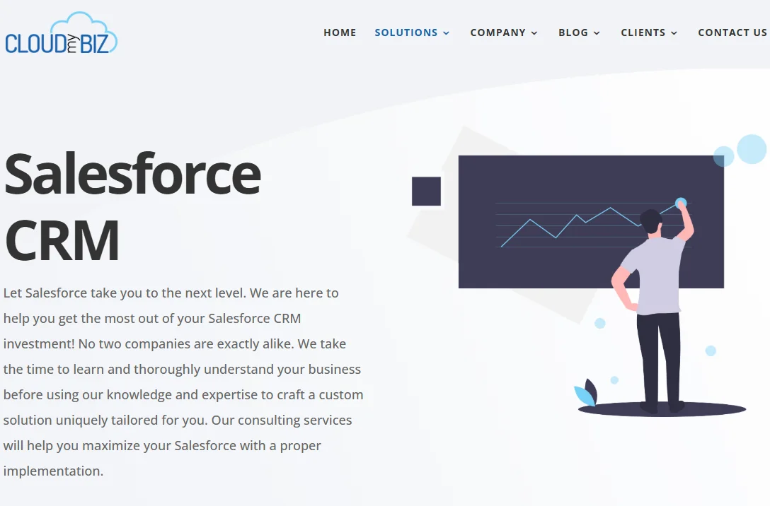 CloudMyBiz Salesforce development services