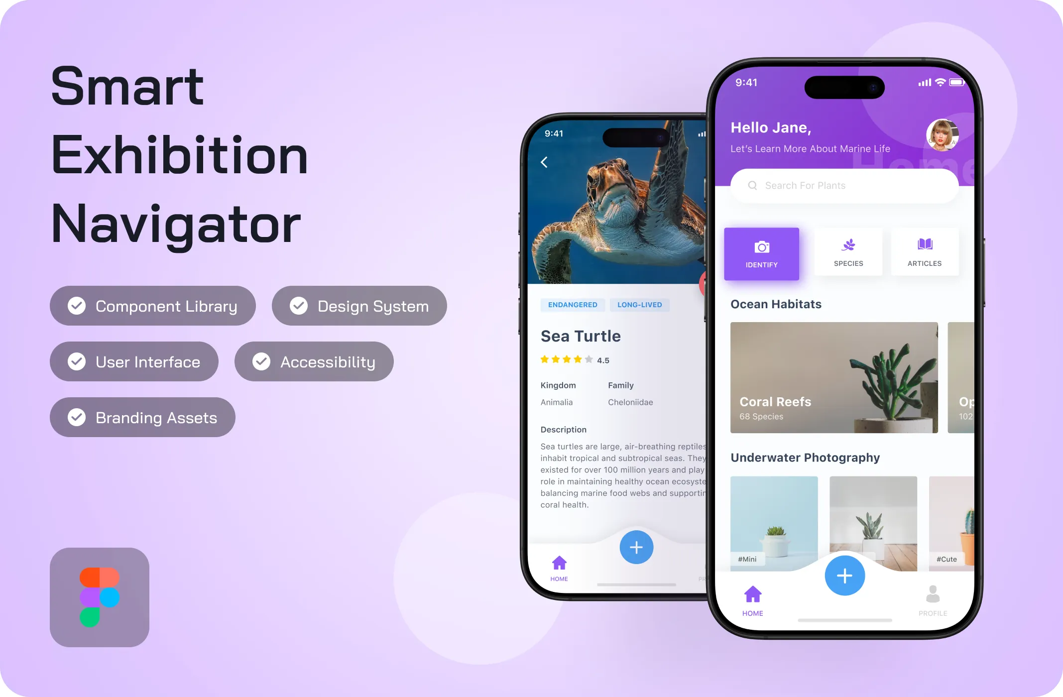 Our Case Study