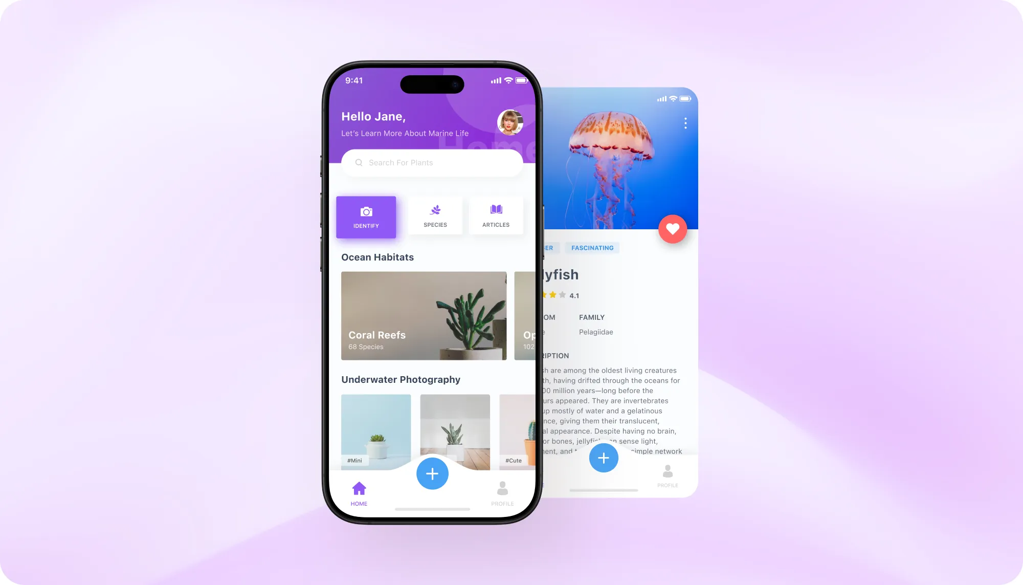 ERP Management Dashboard 
