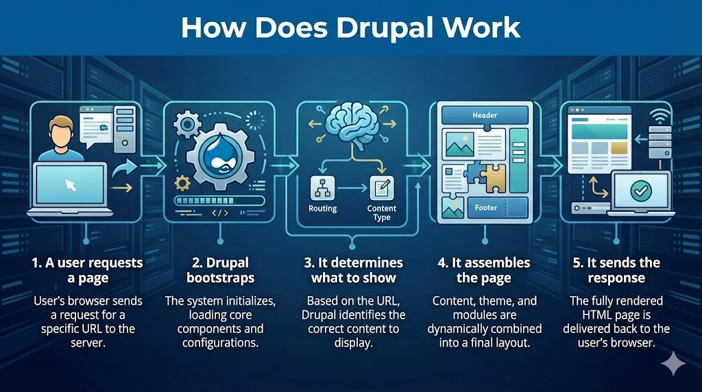 How Does Drupal Work