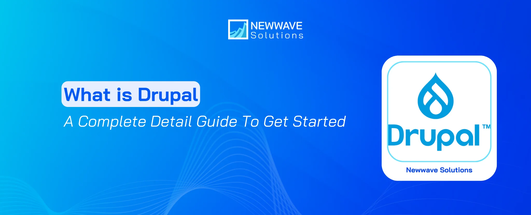 What is Drupal? A Complete Detail Guide To Get Started