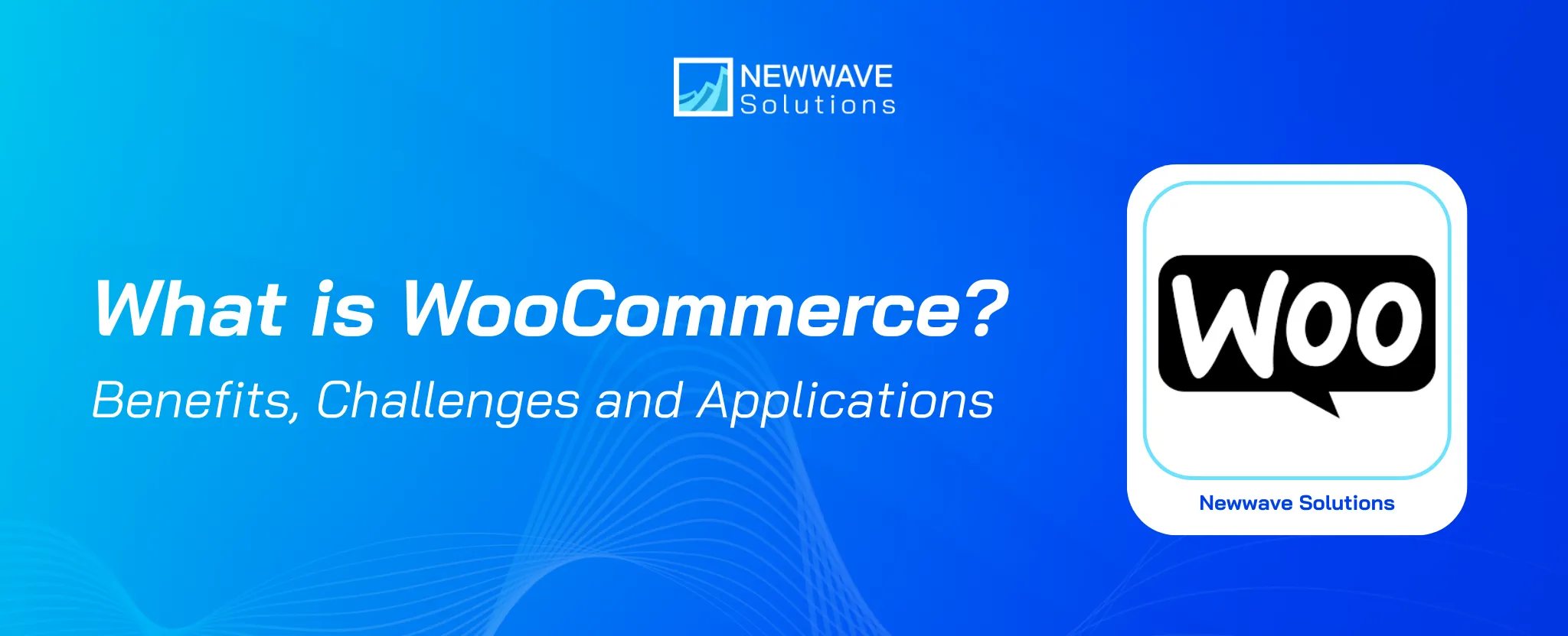 What is WooCommerce? An Objective Look at the E-Commerce Platform